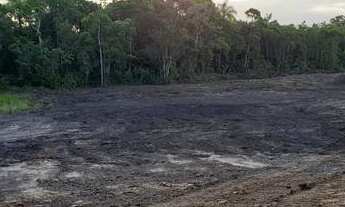 Imagem 4: Terreno 10.650m2 em Araquari