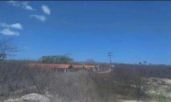 Imagem 6: Fazenda de caju / uruau