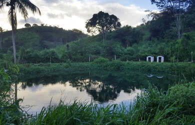 Imagem 5: Sítio em Gravatá - FBMN (081) 9 8208.7270