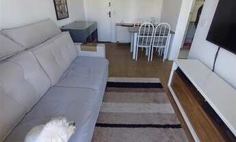 Imagem 3: São Paulo - Apartamento Padrão - Jabaquara