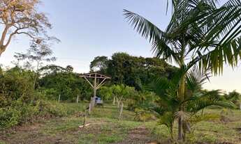 Imagem 4: Vende se chácara 9,5 Hectares