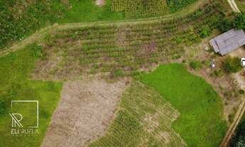 Imagem 2: Chácara com 3 dormitórios à venda, 30000 m² por R$ 699.000,00 - Boa Esperança - Marechal F