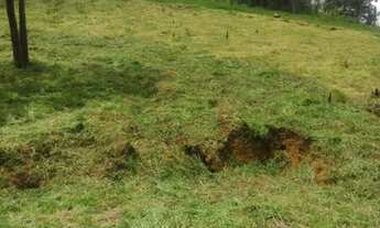 Imagem 2: Terrenos para venda