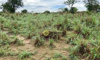 Imagem 4: Fazenda aberta à venda 350 Hectares em Paraíso do Tocantins/TO