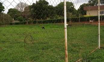 Imagem 7: Chácara Residencial à venda, Terra de São Lucas (Zona Rural), São José do Rio Preto - .