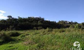Imagem 6: Grande terreno próximo a Praia do Rosa