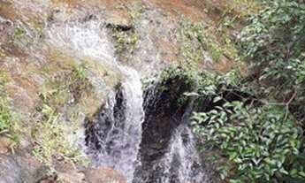 Imagem 2: Fazenda à venda, 242 Hectares- Zona Rural - Aparecida do Rio Negro/TO