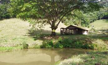 Imagem: Sítio Terreno Rural Guabiruba - SC - Aimoré
