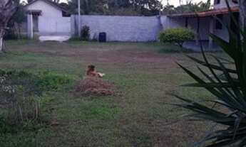 Imagem 5: SAQUAREMA - Terreno Padrão - BARRA NOVA