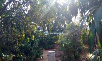 Imagem 3: Chácara Residencial à venda, , -