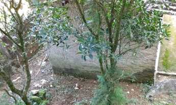 Imagem 5: Terreno com kitnet pra venda precisa de reforma (financio 12x