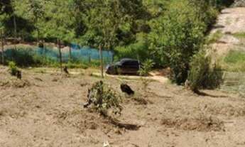 Imagem 2: Vendo terreno em cotia bairro Caputera