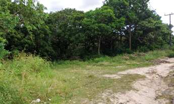 Imagem 2: Sítio no Panaquatira