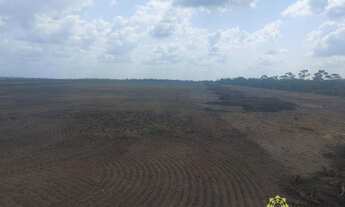 Imagem 3: Fazenda à venda, 315 Hectares- Zona Rural - Tailândia/PA