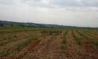 Imagem 7: Fazenda à venda, 1101100 m² por R$ 12.000.000,00 - Avecuia do Alto - Porto Feliz/SP