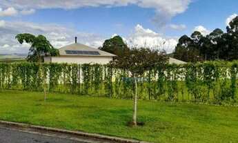 Imagem 2: Lote em condomínio - Árvores