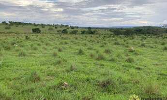 Imagem 4: Fazenda à venda, 400 Hectares em Miracema do Tocantins/TO