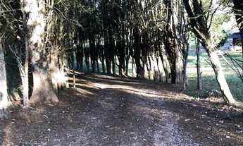 Imagem 4: Terrenos com Vista Excelente e fica na beira do Asfalto Ibiúna SP