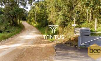 Imagem 3: Área à venda, 76040 m² por R$ 1.700.000,00 - Mato Dentro - Almirante Tamandaré/PR