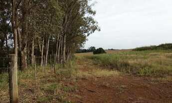 Imagem 3: Sítio 4 Alqueires em Maringá- Próximo ao Porco no Taxo - São Domingos Estrada Centenário