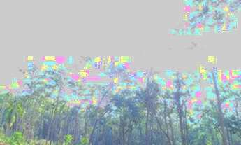 Imagem 4: Terreno para chácara , apenas 10 km do centro de Ibiuna OIG80J