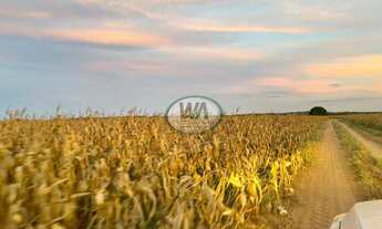 Imagem 5: Fazenda plantando safra e safrinha