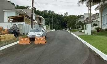 Imagem 4: Terreno à venda, 712 m² por R$ 860.000,00 - Itoupava Central - Blumenau/SC