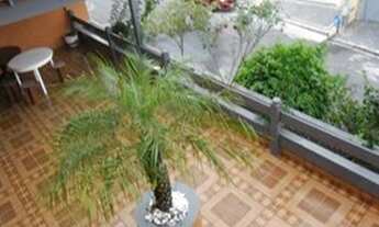 Imagem 4: Casa residencial à venda 1.400.000,00 (11) 9. ZAP Parque Monte Alegre, Taboão da Serra