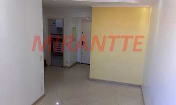 Imagem 2: Lindo apartamento em Vila Gustavo