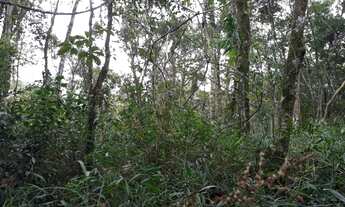 Imagem 7: Terreno à venda, 980 m² por R$ 120.000,00 - Rio Acima - Mairiporã/SP