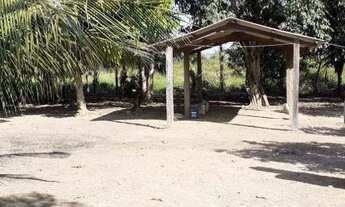 Imagem 5: Fazenda à venda, 5324000 m² por R$ 6.600.000,00 - Zona Rural - Itupiranga/PA