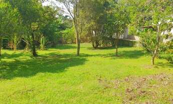 Imagem 5: Residencial - Centro