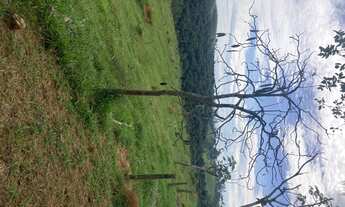 Imagem 1: R5- Promoção de terreno ! Lotes de 600m2 na região central de Igarata!