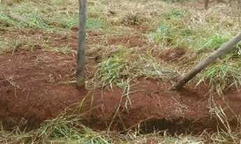 Imagem 6: Lote 360 Terreno / lote com venda por R$90.000