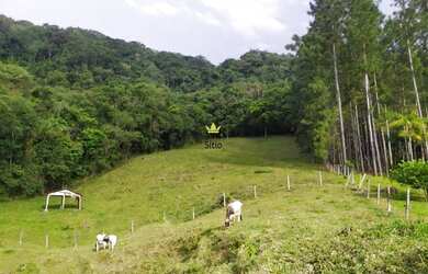 Imagem 4: Sítio Terreno Rural Guabiruba - SC - Aimoré