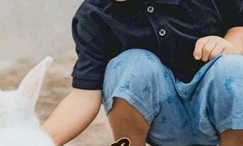 Imagem 7: Passando o ponto - Restaurante e café colonial bem estar - chácara de 25.000m²