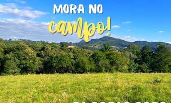 Imagem 2: CHÁCARA 2 HECTARES COM ESCRITURA EM MORUNGAVA