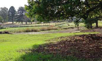 Imagem 7: Chácara/ sitio/ área a venda quatro barra
