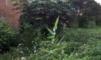 Imagem 4: Oportunidade ÚNICA: Terreno com 168 m2 no Jardim São José (Perto do Lago e USF