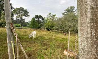 Imagem 7: SITIO RURAL em AMERICANA - SP, JARDIM TERRAMÉRICA I