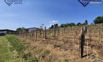 Imagem 2: Sítio Residencial à venda, Caixa D´água, Vinhedo - SI0001