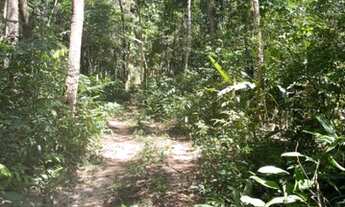 Imagem 3: Fazenda à venda, 1.040 Hectares em Recursolândia/TO