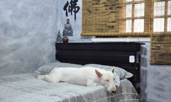 Imagem 7: Sobrado para venda com 132 metros quadrados com 3 quartos em Vila Bandeirantes - São Paulo