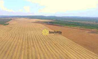 Imagem: Fazenda plantando em Paraíso do Tocantins/TO