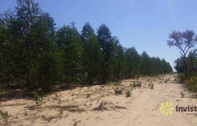 Imagem 8: Fazenda à venda, 1050 Ha - Zona Rural - Rio Sono/TO