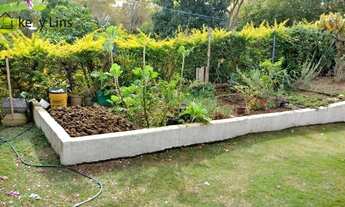 Imagem 6: Maravilhosa chácara com área total de 2.000 m² no município de Pinhalzinho, interior de Sã