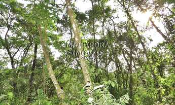 Imagem 4: TERRENO RESIDENCIAL em Mairiporã - SP, (GLEBA II