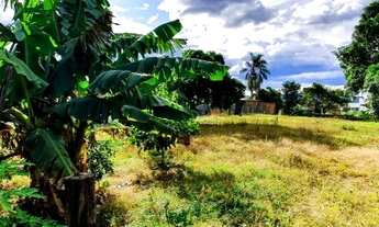 Imagem 3: Venda Terreno São José SC