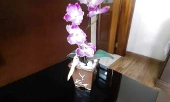 Imagem 4: Lindo Apartamento de 2 quartos no bairro São Mateus