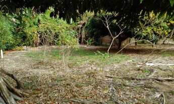 Imagem 5: Maravilhosa chácara com área total de 2.000 m² no município de Pinhalzinho, interior de Sã